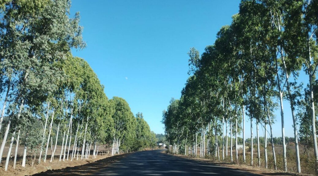 On the way to Amarkantak